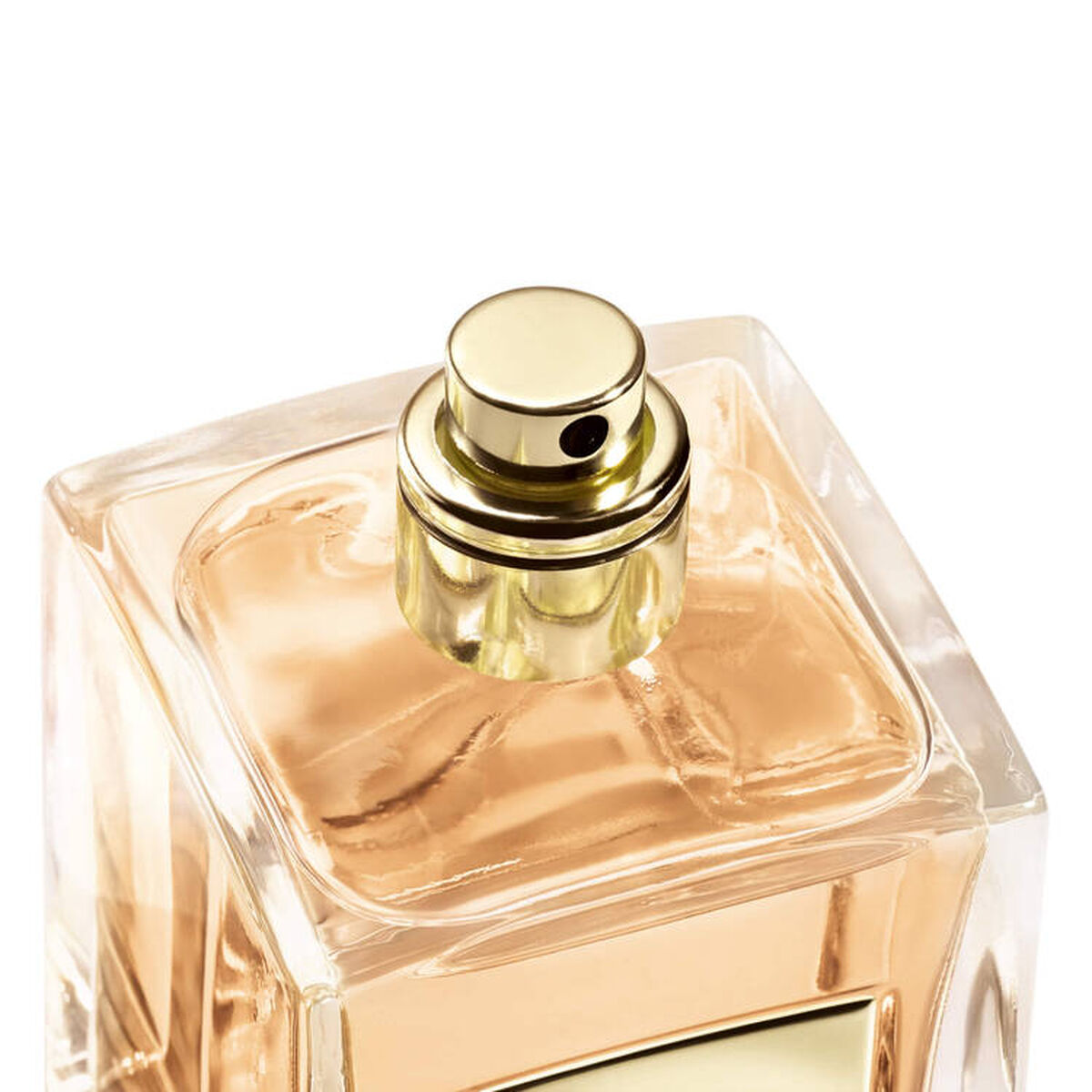 ARMANI/PRIVÉ GARDENIA ANTIGUA | Armani Beauty UAE